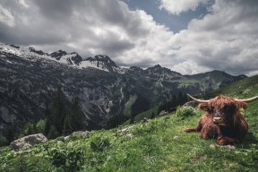 乐鱼体育官网入口-戴维·帕特森通过卓越的决策和精准的传球，帮助袋鼠队占据上风