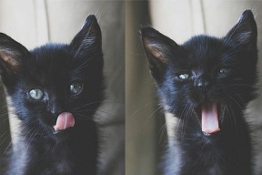 乐鱼体育app网址-世界杯历史经典比赛再盘点，播放世界杯历史