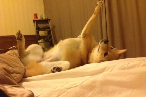 乐鱼官网安全-中小学体育美育融合课程试点扩展至百所学校，中小学体育美育教育教学工作