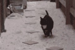 乐鱼体育平台官网-国足战术风格标签与比分对应关系分析，国足评分标准