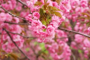 乐鱼体育在线官网-街头篮球文化节吸引年轻人参与展现篮球无限魅力，街头篮球话语