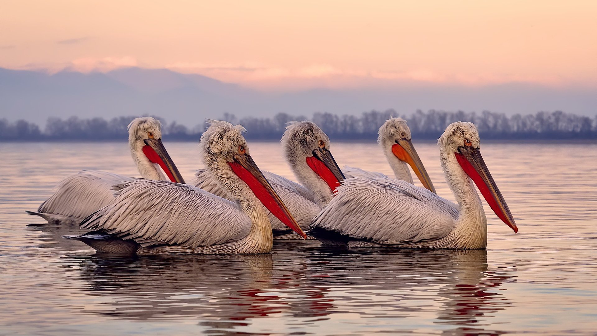 测试赛密集上演，成都世运准备好了！，成都世锦赛