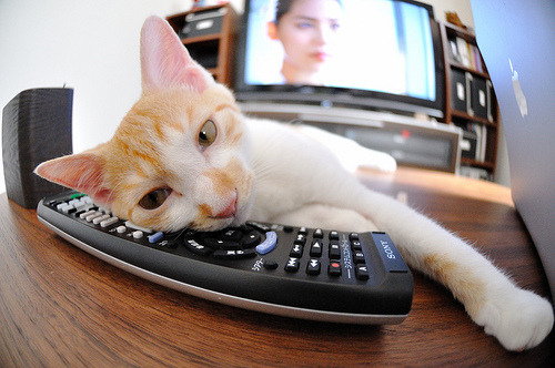 摩纳哥仰泳强将冲击奖牌,摩纳哥泳池